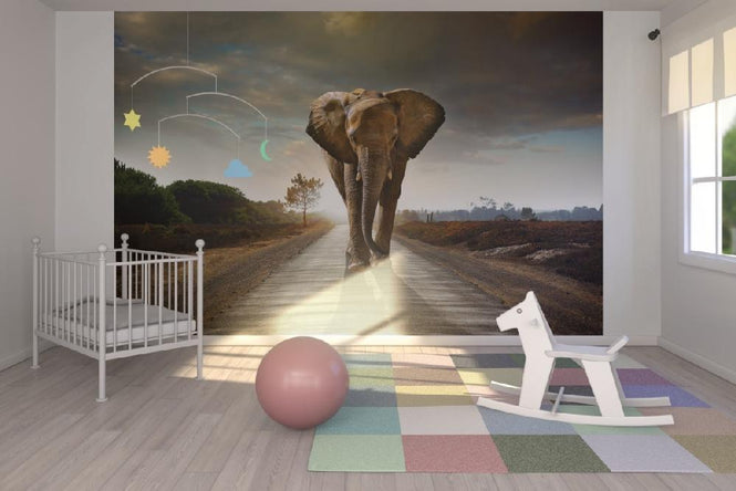 PHOTOWALL / Elephant Road (e20978)