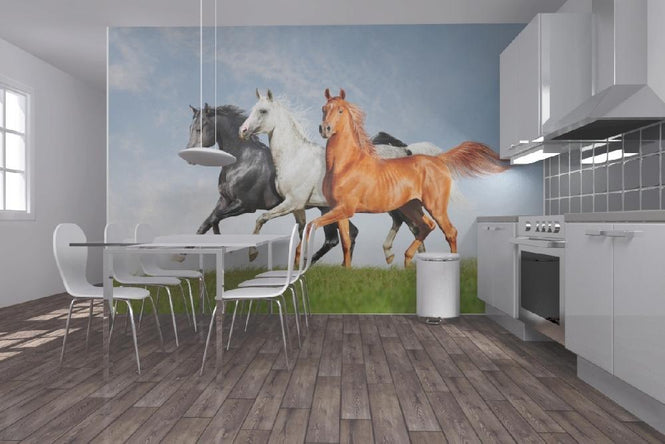 PHOTOWALL / Arab Horses Runs Free (e21344)
