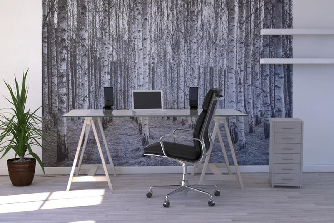 PHOTOWALL / Birch Forest Black & White (e22027)