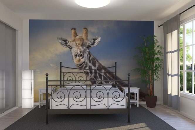 PHOTOWALL / Friendly Giraffe (e22525)
