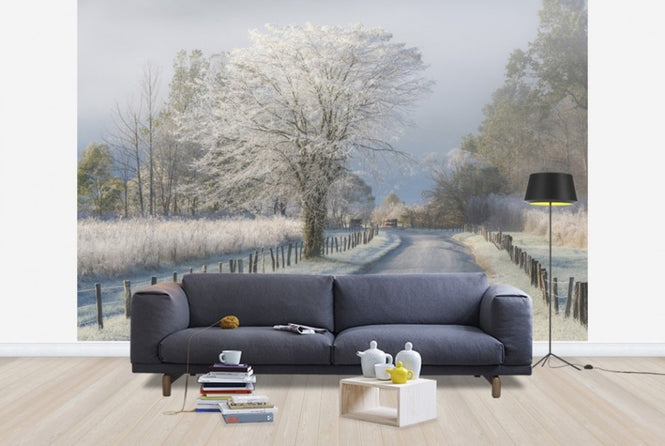 PHOTOWALL / Frosty Morning (e22540)