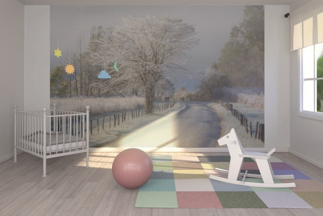 PHOTOWALL / Frosty Morning (e22540)