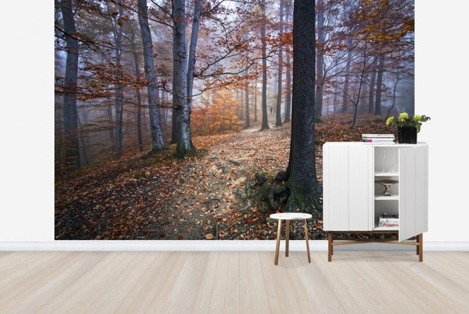 PHOTOWALL / Autumn Forest (e22553)