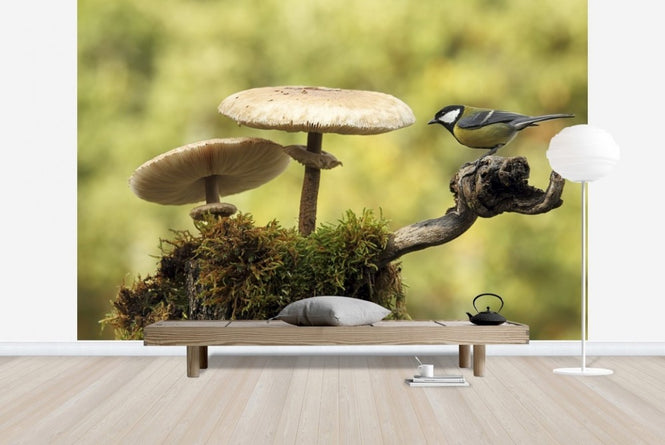 PHOTOWALL / Mushrooms & Bird (e22562)