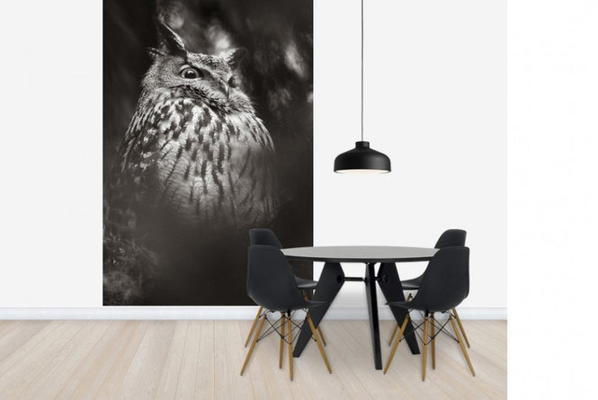 PHOTOWALL / Misty Owl (e22570)