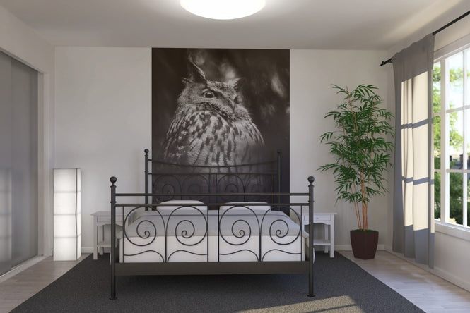 PHOTOWALL / Misty Owl (e22570)