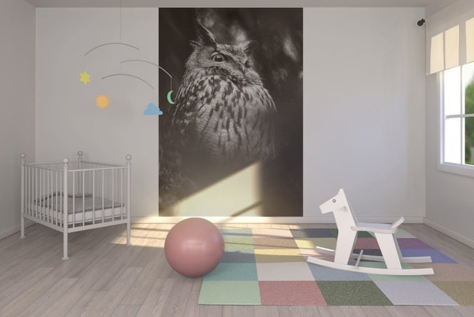 PHOTOWALL / Misty Owl (e22570)