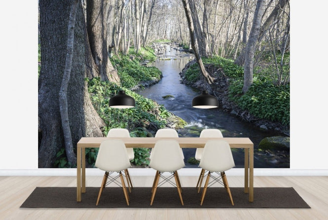 PHOTOWALL / Spring River (e23080)