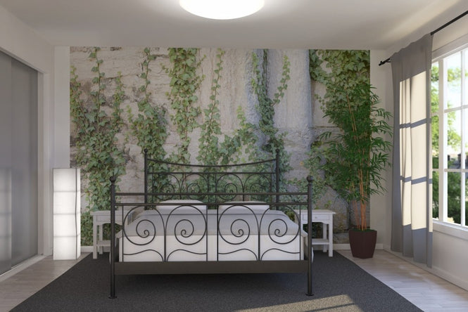 PHOTOWALL / Ivy Ruin (e23096)