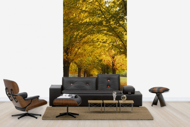 PHOTOWALL / Yellow Sugar Maple Alley (e23510)