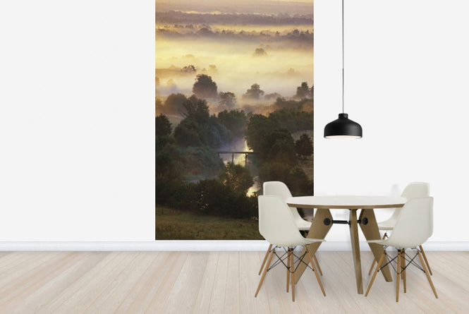 PHOTOWALL / Misty Shimmering Forest (e23517)