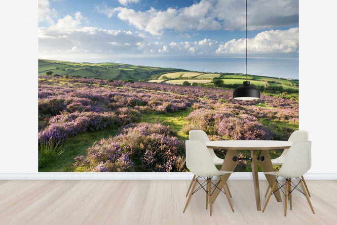 PHOTOWALL / Flowering Heather (e23589)