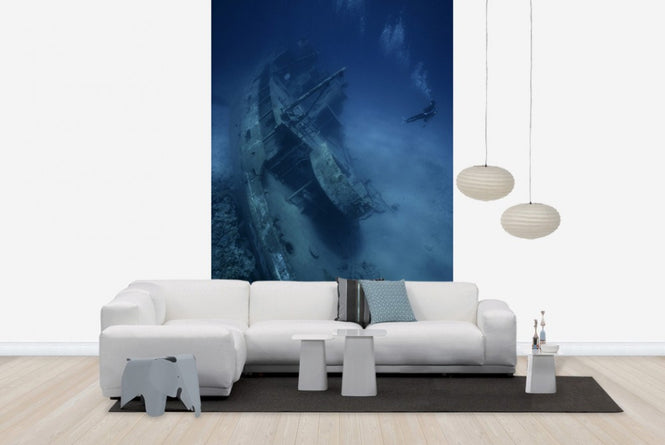 PHOTOWALL / Shipwreck and Diver (e23592)