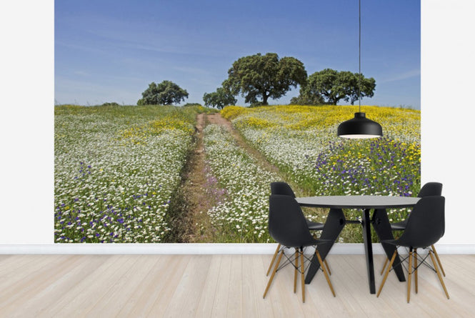 PHOTOWALL / Cork Oaks and Flowering Meadow (e23648)
