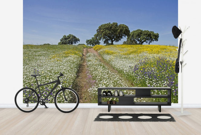 PHOTOWALL / Cork Oaks and Flowering Meadow (e23648)