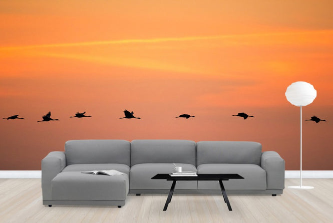 PHOTOWALL / Cranes in Sunrise (e23687)