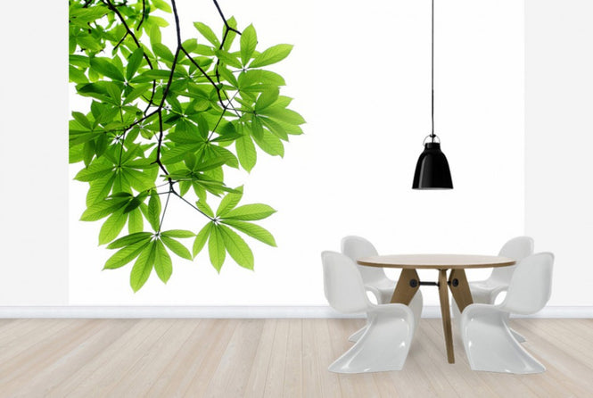 PHOTOWALL / Fresh Leaves (e40115)