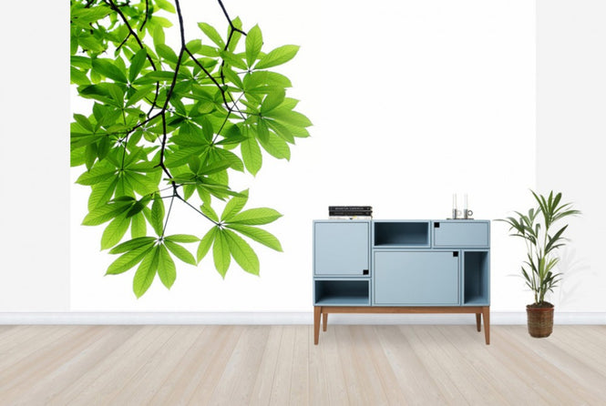PHOTOWALL / Fresh Leaves (e40115)