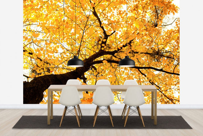 PHOTOWALL / Golden Leaves (e40120)