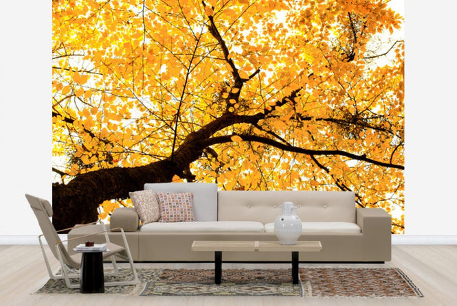 PHOTOWALL / Golden Leaves (e40120)