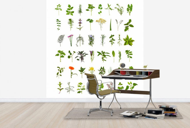 PHOTOWALL / Herb and Flower Collection (e40129)
