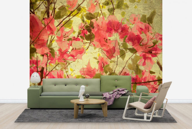 PHOTOWALL / Bougainvillea (e40179)