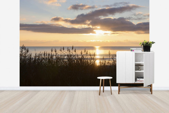 PHOTOWALL / Grass and Sunset - Gotland (e23781)