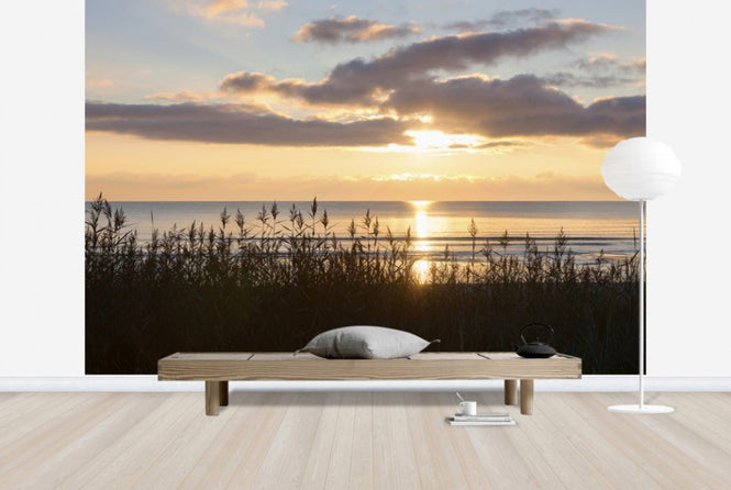PHOTOWALL / Grass and Sunset - Gotland (e23781)