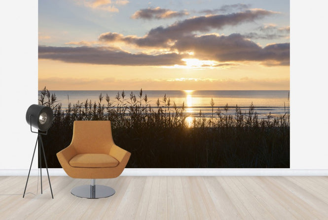 PHOTOWALL / Grass and Sunset - Gotland (e23781)