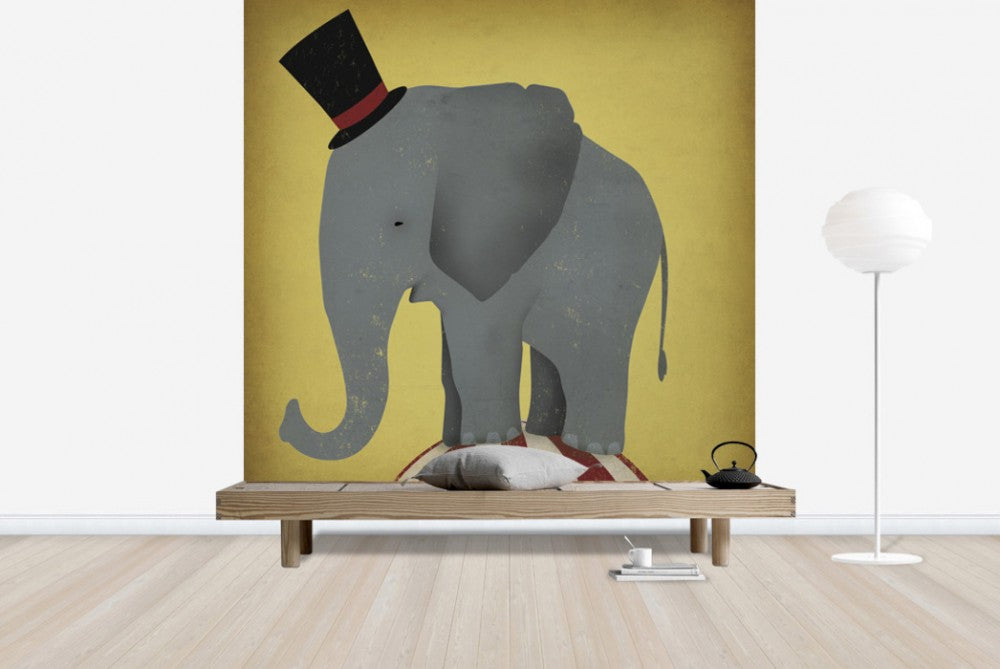 Zoom