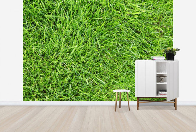PHOTOWALL / Fresh Green Grass (e24101)