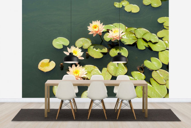 PHOTOWALL / Pond with Pale Pink Water Lilies (e24105)