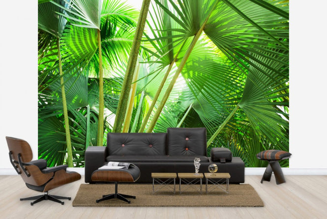 PHOTOWALL / Palm Grove (e24106)