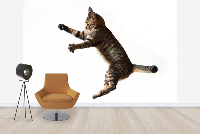 PHOTOWALL / Big Jump (e24143)
