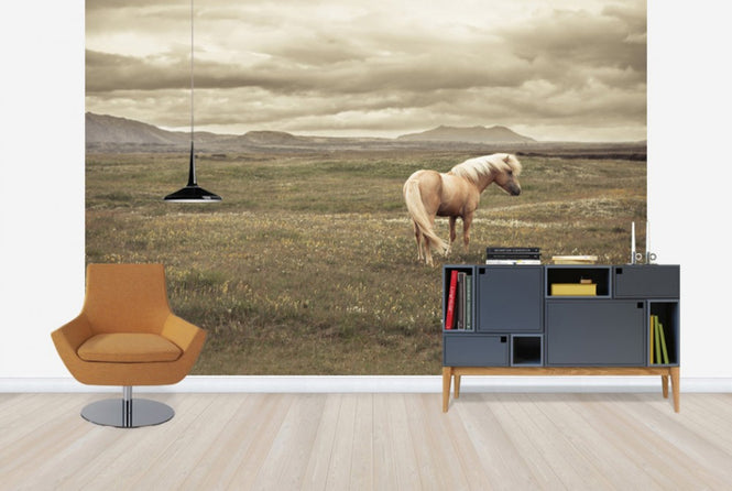 PHOTOWALL / Icelandic Horse (e24363)