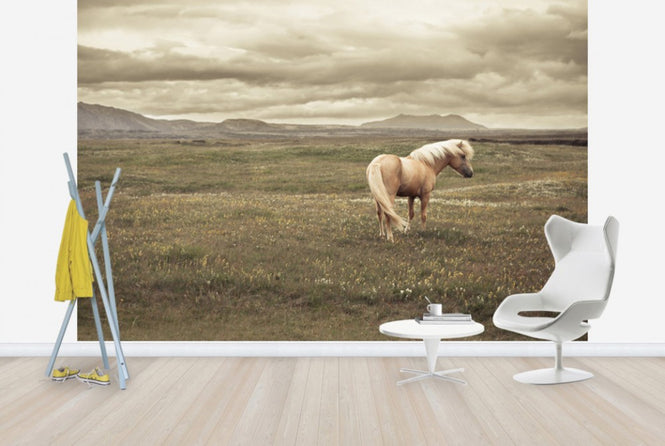 PHOTOWALL / Icelandic Horse (e24363)