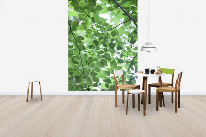 PHOTOWALL / Patterns of Leaves (e24542)
