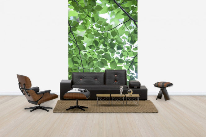 PHOTOWALL / Patterns of Leaves (e24542)