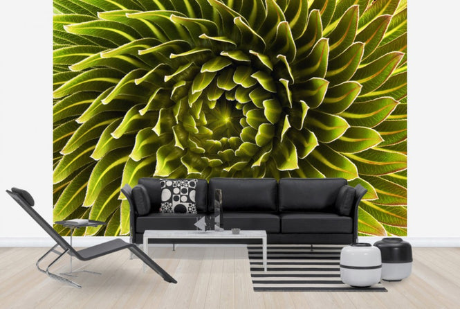 PHOTOWALL / Lobelia (e24605)