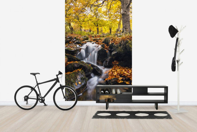 PHOTOWALL / Splashes of Autumn (e24588)