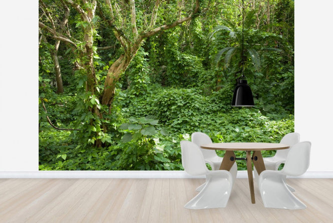PHOTOWALL / Ancient Ruins Covered by Tropical Jungle (e24683)