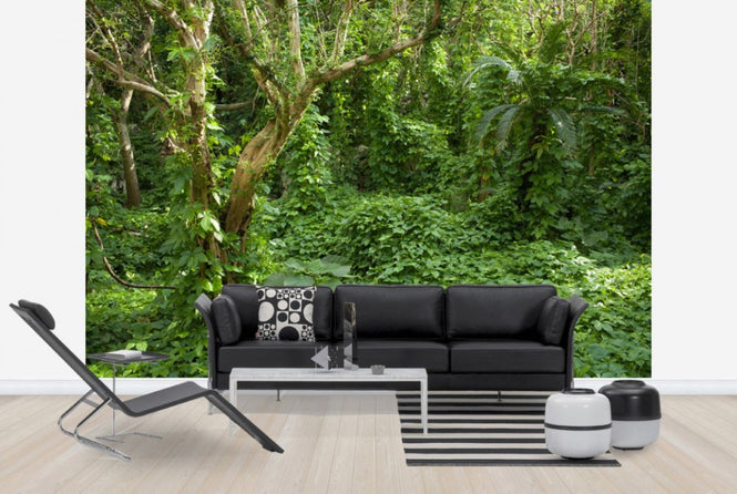 PHOTOWALL / Ancient Ruins Covered by Tropical Jungle (e24683)