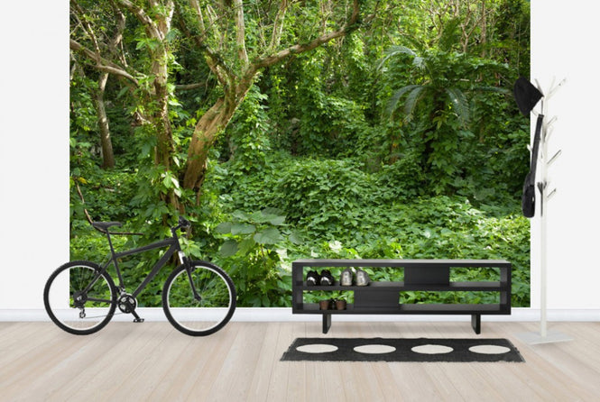 PHOTOWALL / Ancient Ruins Covered by Tropical Jungle (e24683)