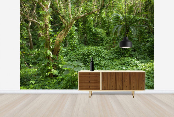 PHOTOWALL / Ancient Ruins Covered by Tropical Jungle (e24683)