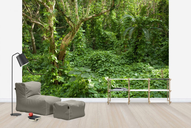 PHOTOWALL / Ancient Ruins Covered by Tropical Jungle (e24683)