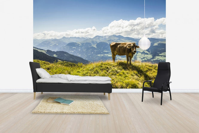 PHOTOWALL / Cow Grazing on Grassy Hillside (e24640)
