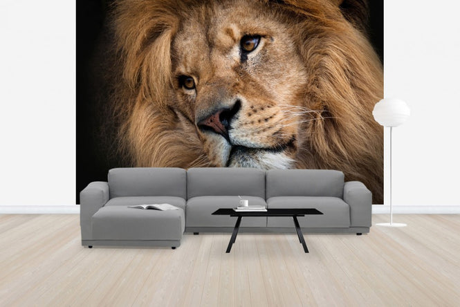 PHOTOWALL / Leo (e24647)