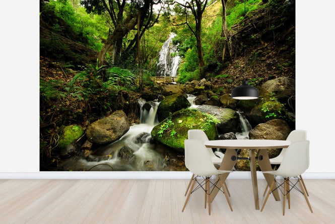 PHOTOWALL / Peaceful Forest Waterfall (e24712)
