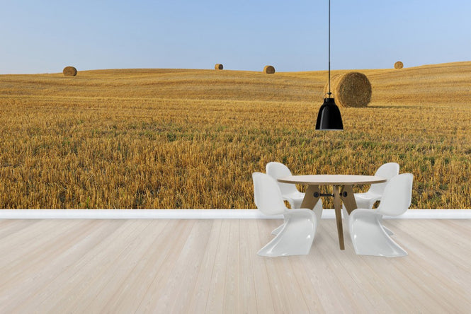 PHOTOWALL / Harvested Wheat Field (e29399)