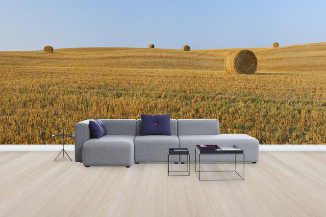 PHOTOWALL / Harvested Wheat Field (e29399)